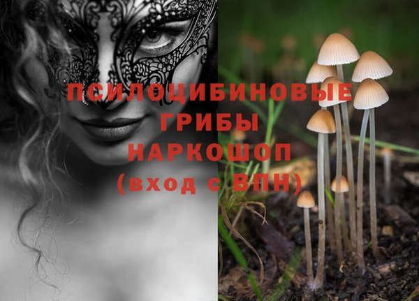 соль курить ск Алексеевка