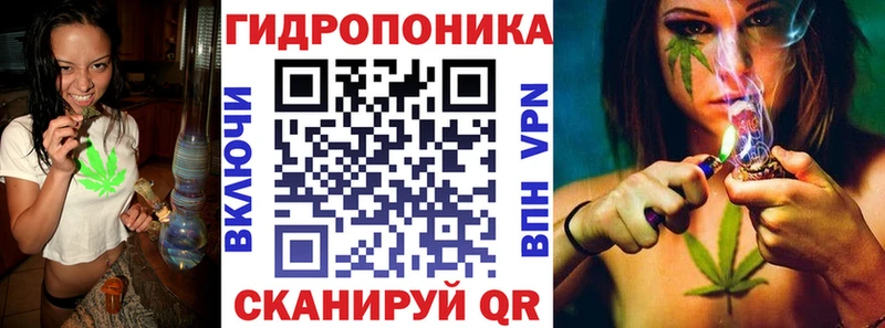 Каннабис VHQ  продажа наркотиков  Дмитровск 